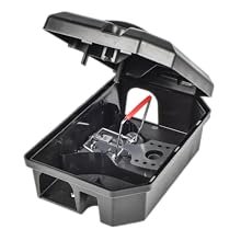Rat trap set in box