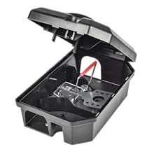 Rat trap set in box